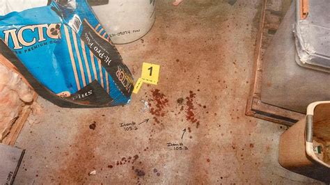 murdaugh murder crime scene pictures|Inside gruesome Murdaugh family murder scene pics。